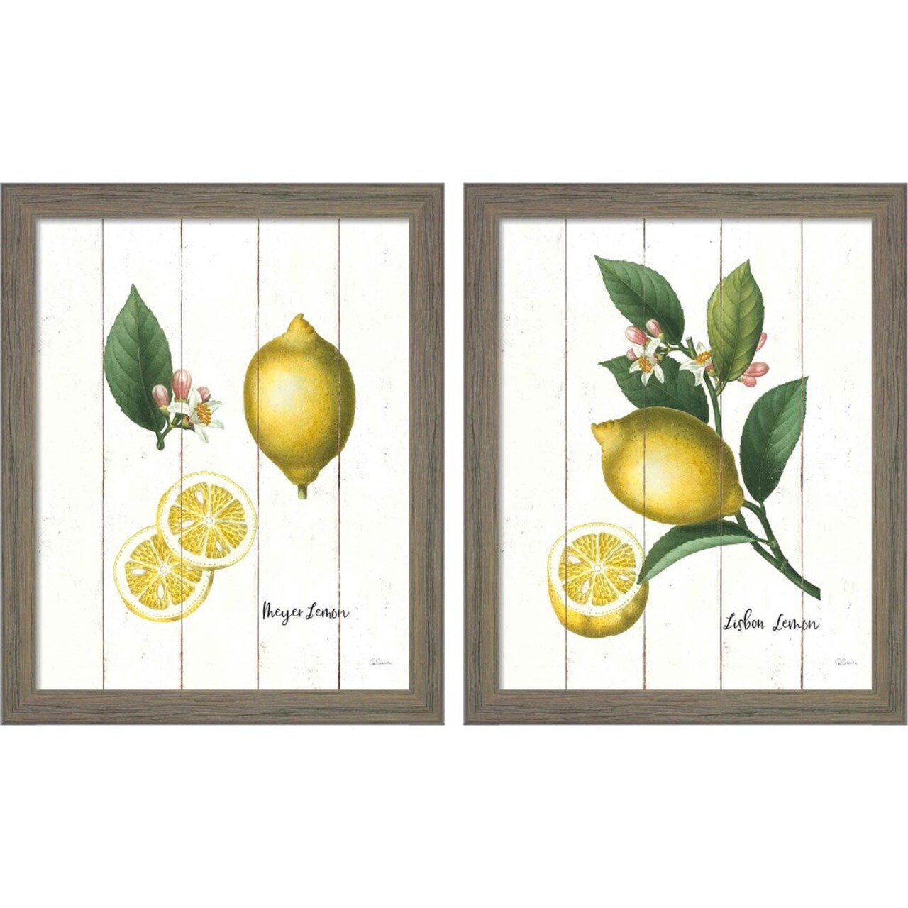 Cottage Lemon by Sue Schlabach, 2 Piece Rustic Gray Framed Art Set